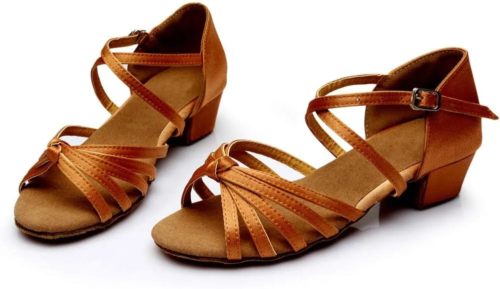 Chunky Heels Sandals Women Summer Dress Latin Satin Ballroom Tango Performance Practice Dance Shoes