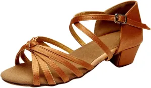 Chunky Heels Sandals Women Summer Dress Latin Satin Ballroom Tango Performance Practice Dance Shoes
